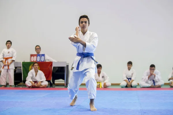 Vila Nova Gaia Portugal Noviembre 2017 Evento Karate Campeonato Celebración — Foto de Stock