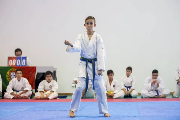 Vila Nova Gaia Portugalsko Listopadu 2017 Karate Akce Slavnostní Mistrovství — Stock fotografie