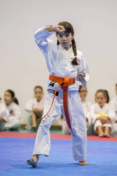 Vila Nova Gaia Portugal November 2017 Karate Händelse Festliga Championship — Stockfoto