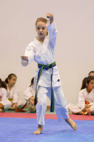 Vila Nova Gaia Portugal November 2017 Karate Händelse Festliga Championship — Stockfoto