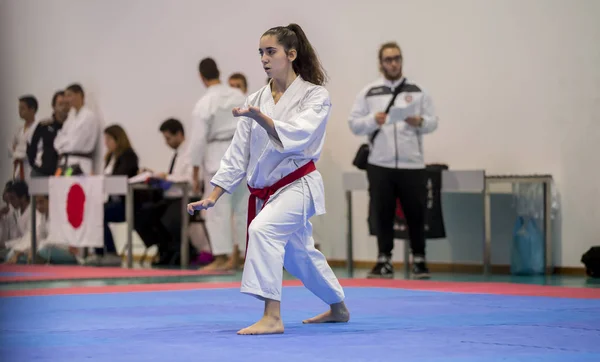 Vila Nova Gaia Portugal Listopada 2017 Karate Zdarzenia Uroczysty Mistrzostwa — Zdjęcie stockowe