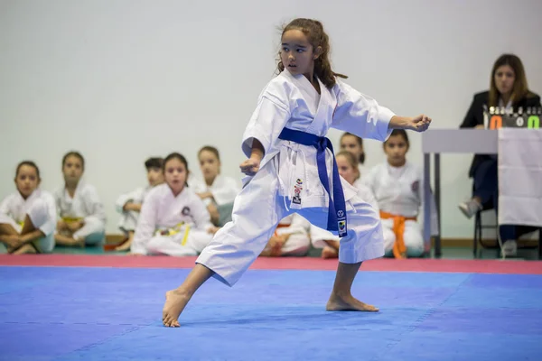 Vila Nova Gaia Portugal November 2017 Karate Evenement Feestelijke Kampioenschap — Stockfoto