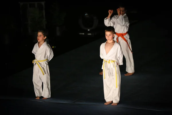Vila Nova Gaia Portugal Listopada 2017 Karate Zdarzenia Uroczysty Mistrzostwa — Zdjęcie stockowe