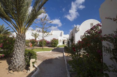 Tunus şehrinin ahengi