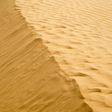 Çöl dunes.  