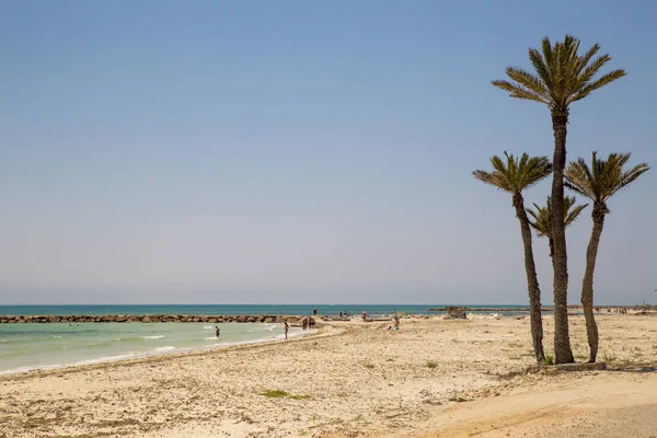 Djerba Túnez Junio 2018 Hotel Seabel Aladin Djerba Encuentra Una — Foto de Stock