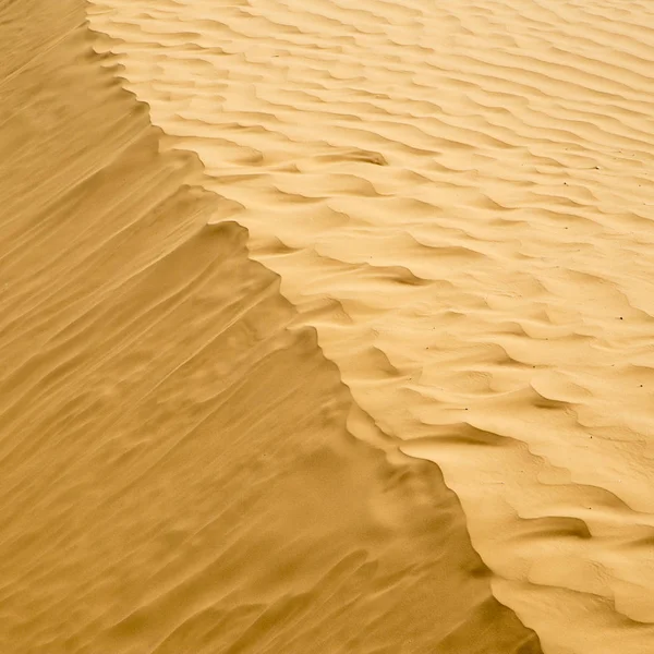 Çöl dunes.  