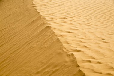 Çöl dunes.  