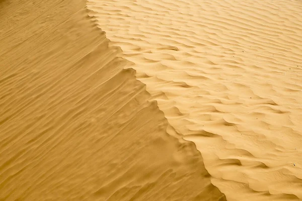 Çöl dunes.  