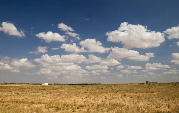 Пейзаж Тунисе Плоскими Полями Голубым Небом Белыми Облаками — стоковое фото