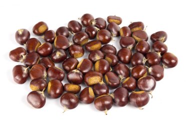 Beyaz arka planda soyulmuş kestane kabuğuyla taze kestaneler. Hipoksanyum izole edildi.