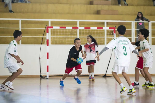Afife Viana Castelo Portugal 1Er Décembre 2018 Tournoi Handball Pour — Photo