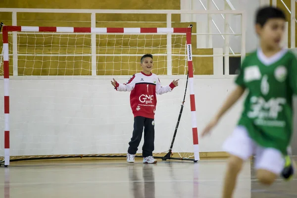 卡米尼亚 维亚纳多卡斯特洛 葡萄牙 2019年6月10日 由阿菲芬斯体育协会主办的儿童手球锦标赛 旨在促进儿童体育 2019年6月10日 — 图库照片