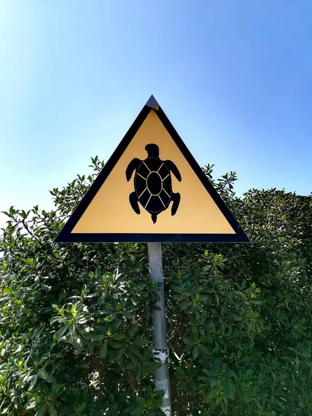 Sign to watch out for turtles on the beach