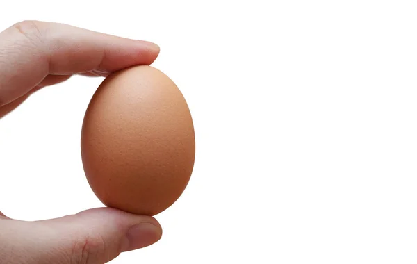 Beyaz Arka Planda Izole Edilmiş Bir Yumurtayı Tutan Kırpma Yolu — Stok fotoğraf