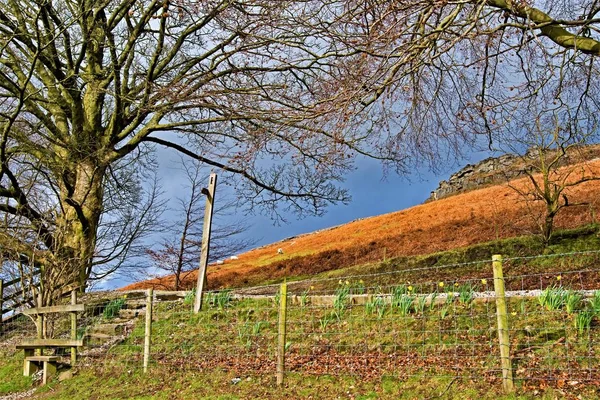 Bamford Edge Uma Bela Deslumbrante Área Beleza Natural Hope Valley — Fotografia de Stock