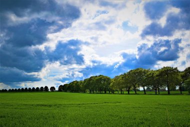 Sprotbrough farmland is beautiful at all times of year, providing wonderful sweeping landscapes with an ambience of rural utopian decency and ripe and plentiful crops. clipart