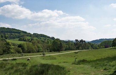Hathersage, İngiltere 'nin Derbyshire eyaletinde yer alan bir şehirdir. Derwent Nehri 'nin biraz kuzeyinde yer alır, Sheffield' in yaklaşık 10 mil güneybatısında..