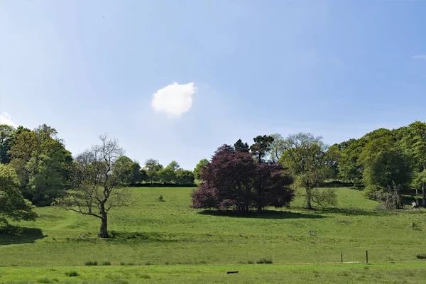 Hathersage Vesnice Občanská Farnost Okrese Peak Derbyshire Anglie Leží Mírně — Stock fotografie