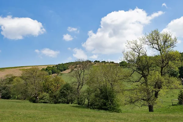 Situé Nord Hathersage Stanage Edge Est Endroit Populaire Pour Les — Photo