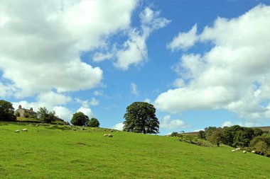 There is a free car park at Blubberhouses, in Fewston, that gives access to a lovely circular walk, around Fewston reservoir and lovely views of farmland and St Andrew's Church. clipart