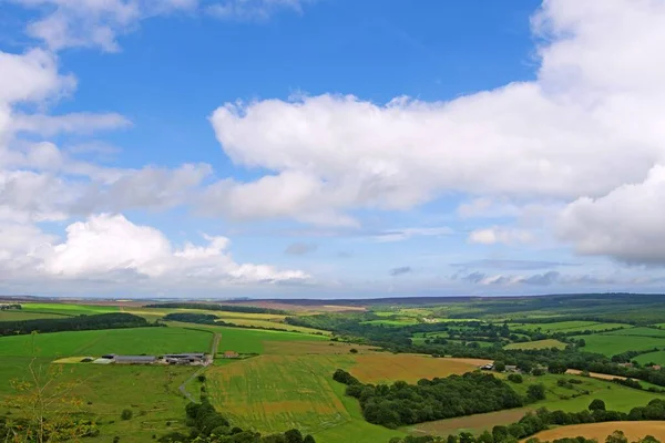 Broxa Forest is a mix of pine, other conifers and semi natural woodland, with heath like clearings that provide fantastic views of Harwood Dale, wild flowers and wonderful walks.