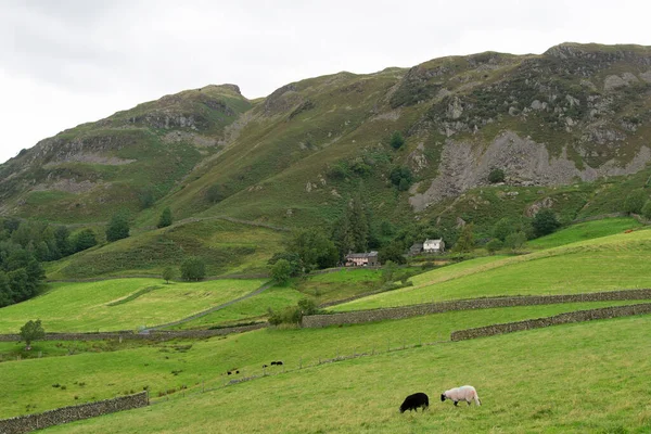 Hodge Close Walk Coniston Ofrece Una Variedad Maravillosas Vistas Las — Foto de Stock