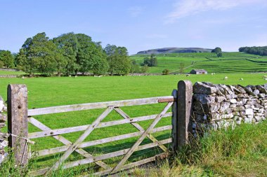 Austwick, İngiltere 'nin Kuzey Yorkshire iline bağlı Craven ilçesine bağlı bir köydür..