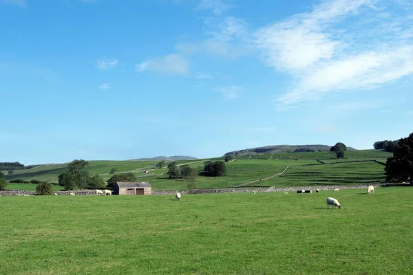 Austwick Een Plaats Civil Parish Het Bestuurlijke Gebied Craven Het Stockafbeelding