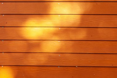 Ahşap duvar arka plan doku. ahşap duvar.