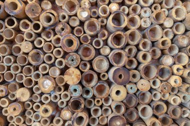 Bambu kulübeleri yapısı. Bambu kulübesi. Yaşayan bambu kulübeleri. TH