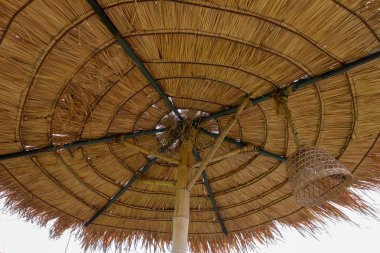 Bambu kulübeleri yapısı. Bambu kulübesi. Yaşayan bambu kulübeleri. TH