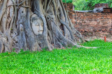 Wat Mahathat Tapınağı 'nda Banyan Tree root ile ünlü Buddha Head 