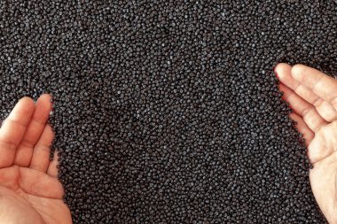 Plastik polimer granüllerin yakın çekim. el tutma Polimer peletler.