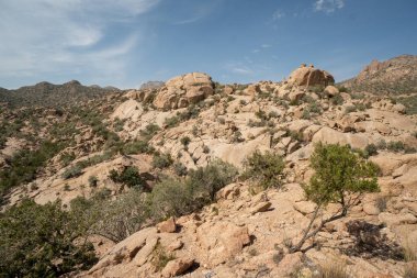 Suudi Arabistan 'ın Taif bölgesindeki dağların ve vadilerin manzarası