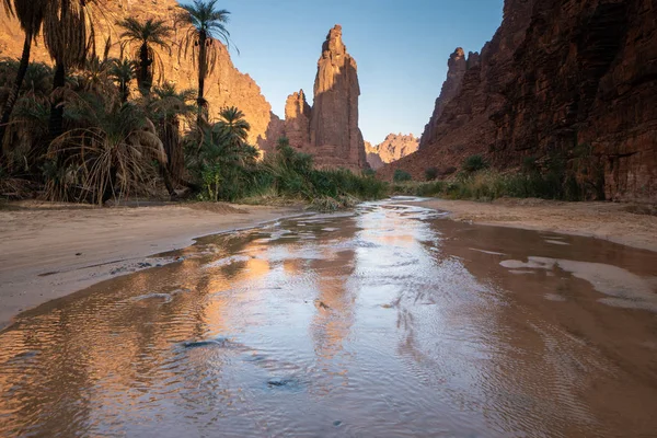 Escenas Rock Oasis Wadi Disah Región Tabuk Arabia Saudita — Foto de Stock