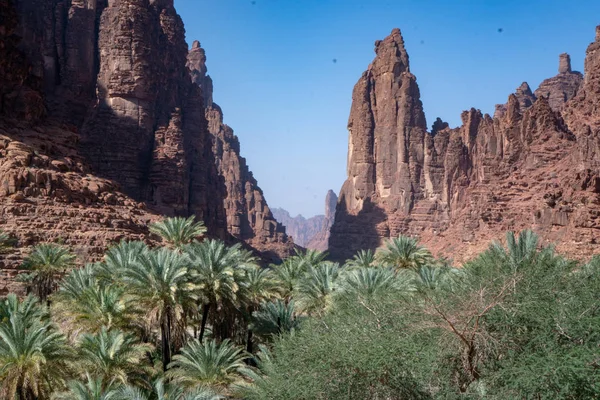 Escenas Rock Oasis Wadi Disah Región Tabuk Arabia Saudita — Foto de Stock