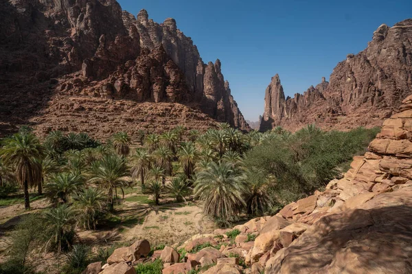 サウジアラビア タブーク地方のワディ ディサのロックとオアシスのシーン — ストック写真