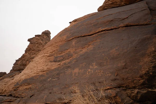 Ancient cave paintings / rock art in Ha'il Province in Saudi Arabia (world heritage site)