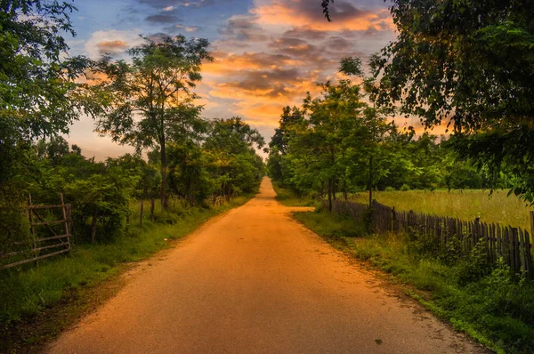 Empty country road at sunset with green fields and trees on both sides. Dramatic twilight sky with the sunlight reflected on the road. Styled stock photo of romanian countryside.