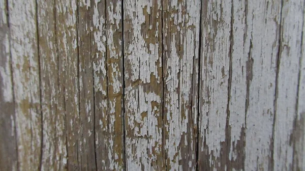 background old brown wood with white paint