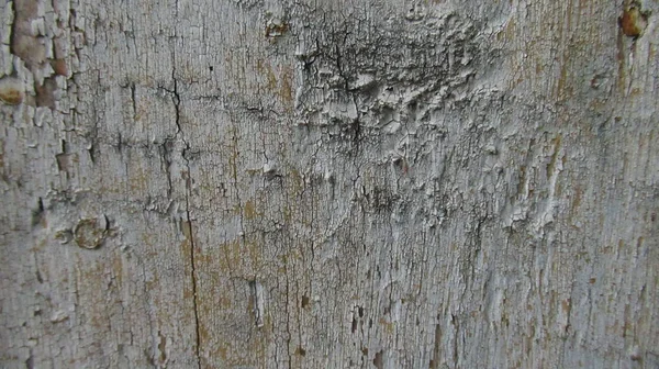 Textura Madera Gris Vieja Pintada Blanco —  Fotos de Stock