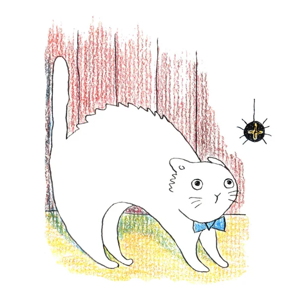 Şişman komik beyaz kedi büyük siyah örümcek görünce ve korkmuş. Renkli kalemler ve mürekkeple elle çizilmiş illüstrasyon.