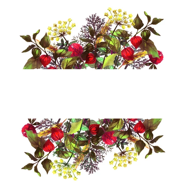 Otlar ve çiçekler ile renkli çerçeve. Sonbahar ve sümer ruh hali. Nane, dereotu, physalis, buğday başak, adaçayı, yonca