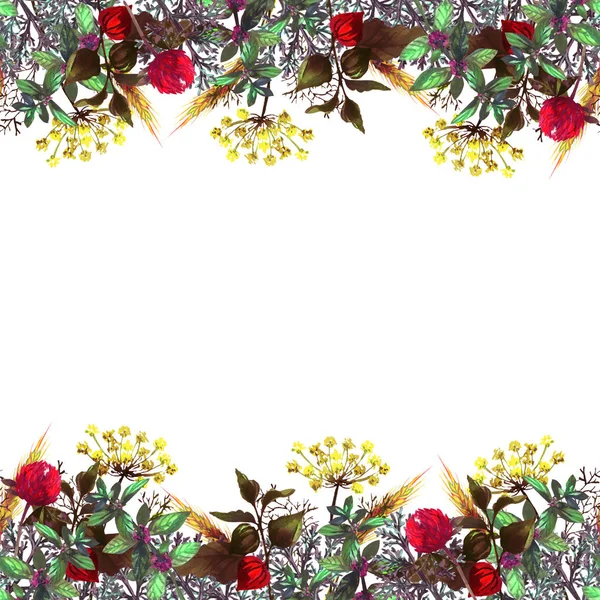 Otlar ve çiçekler ile renkli çerçeve. Sonbahar ve sümer ruh hali. Kesintisiz kenarlık. Nane, dereotu, physalis, buğday başak, adaçayı, yonca