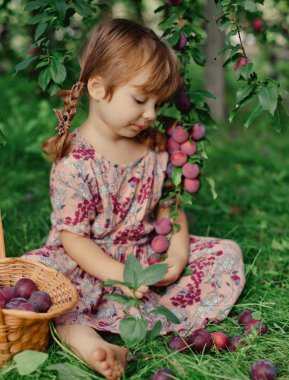 erik sepeti ile küçük kız
