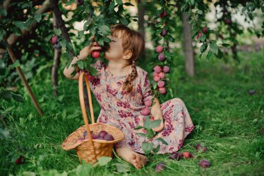 erik sepeti ile küçük kız