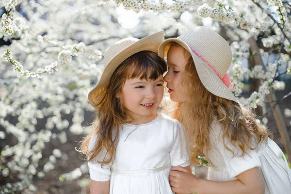 여름에 꽃피는 정원에서 미소짓는 자매들 — 스톡 사진