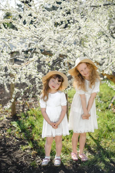 여름에 꽃피는 정원에서 미소짓는 자매들 스톡 사진