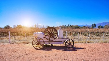 Famous El Cafayate wineries and wine tours in North Argentina clipart